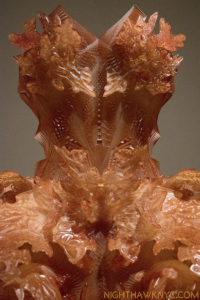 Lacework.? Iris van Herpen, Autumn 2012, 3D Printed dark orange epoxy.